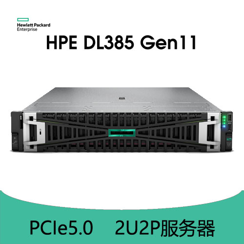 HPE ProLiant DL385 Gen11 服务器